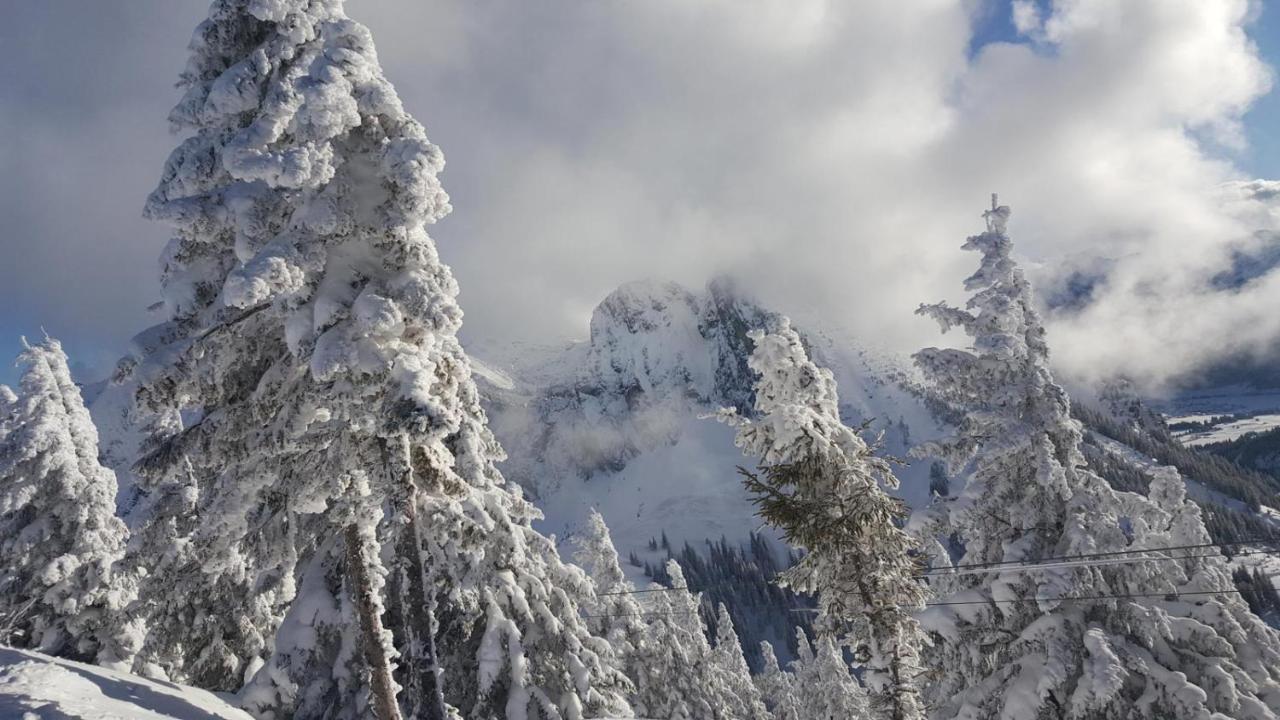 Alpenchalet Vils Tirol Eksteriør bilde